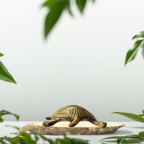 Golden Feng Shui Tortoise Showpiece