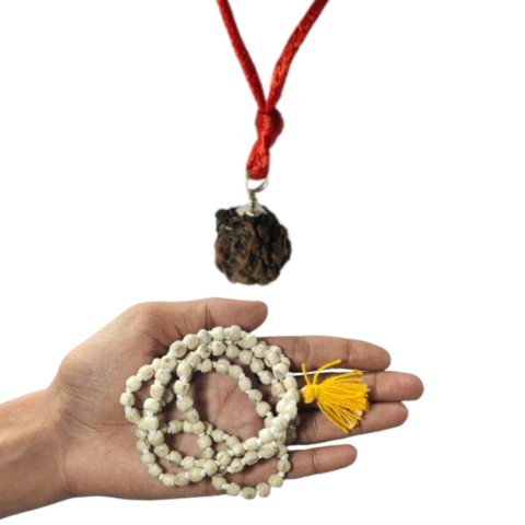 Divine Tulsi–Rudraksha Harmony Combo – Sacred Mala with Protection Pendant