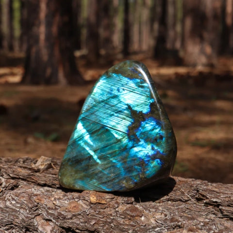 Polished Labradorite Crystal – Iridescent Blue Flash Stone for Protection & Transformation