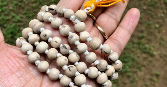 How Tulsi Mala Beads Enhance Meditation and Inner Peace