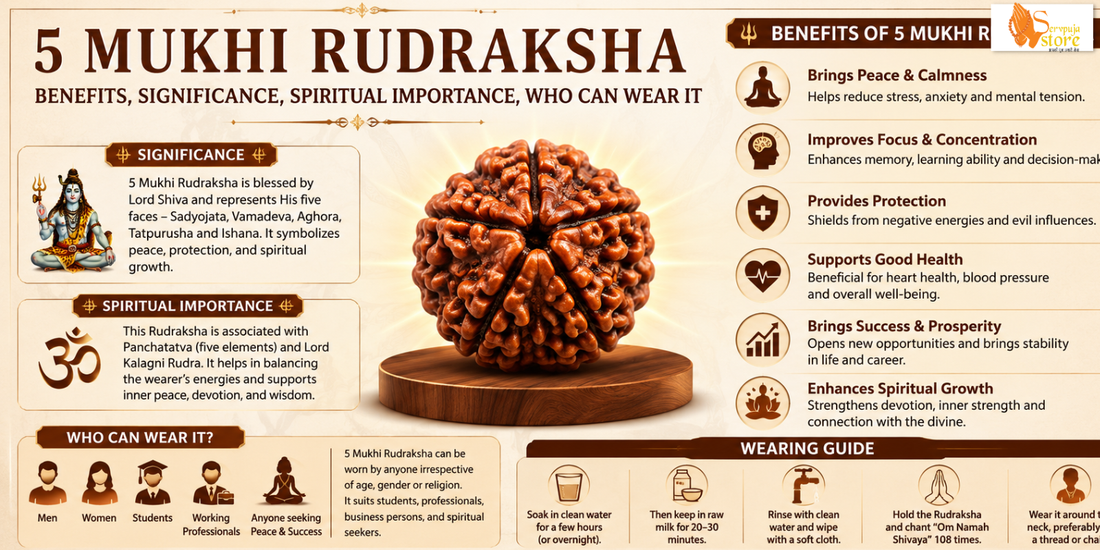 5 Mukhi Rudraksha Benefits: Significance, Spiritual Importance, Who Can Wear It Wearing Guide