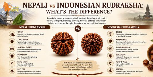 Nepali vs Indonesian Rudraksha: What's the Difference?