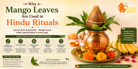 Fresh mango leaves used in Hindu rituals for Kalash Sthapana, puja, prosperity, and spiritual significance