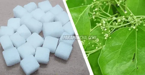 Original Camphor vs Synthetic Camphor – Which is Best for Puja