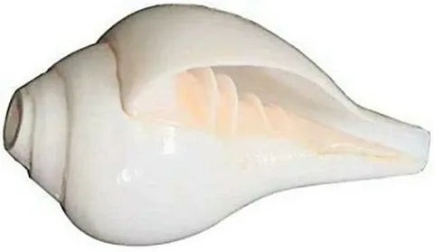 Benefits of Blowing a Conch Shell – Health, Spiritual, and Vastu Advantages