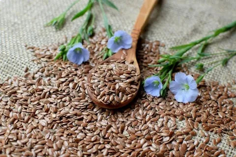Why Flax Seeds Are a Superfood for Mind and Body