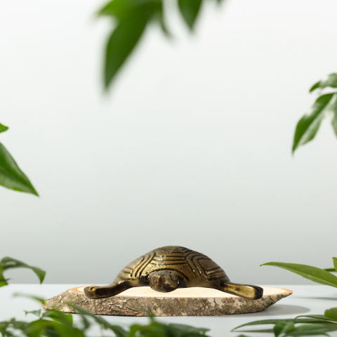 Golden Feng Shui Tortoise Showpiece
