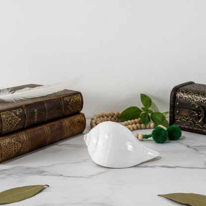 Pure Divinity Shankh