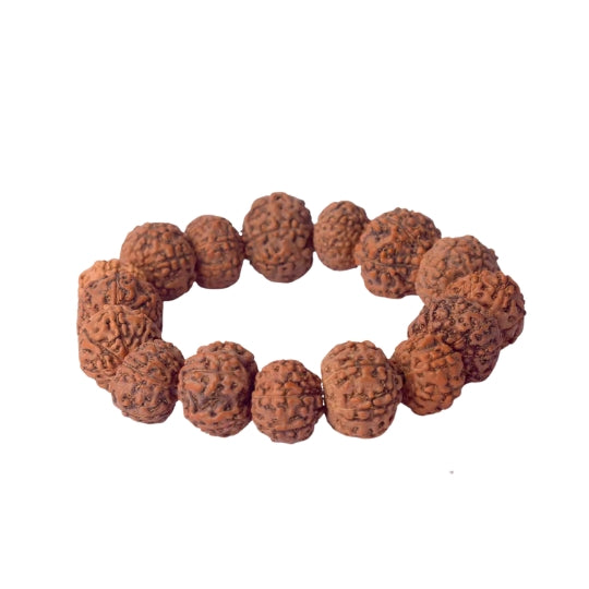 7 Mukhi Rudraksha bracelet