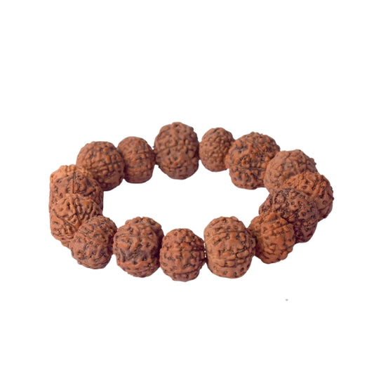 7 Mukhi Rudraksha bracelet