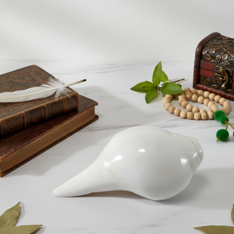 Divine Harmony Shankh