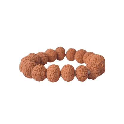 8 Mukhi Rudraksha Bracelet