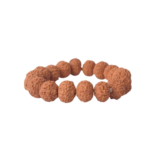 8 Mukhi Rudraksha Bracelet