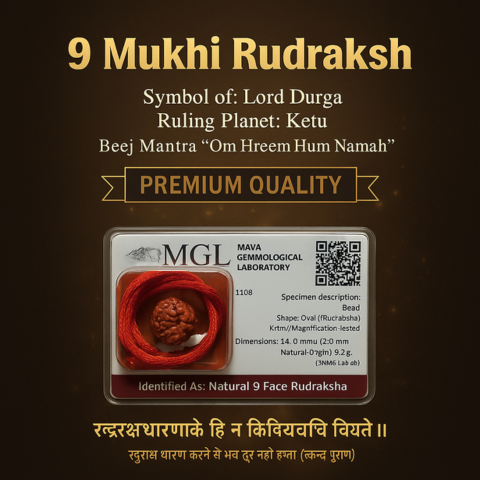 Durga Power 9 Mukhi Rudraksha (Certified)