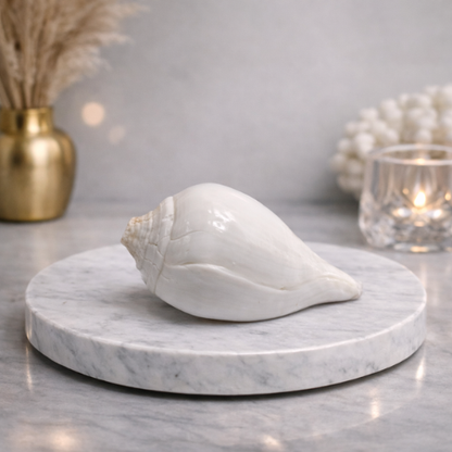 Shuddh Pooja Shankh – Non-Blowing | For Daily Worship & Rituals