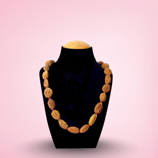 2 Mukhi Kantha Rudraksha Mala