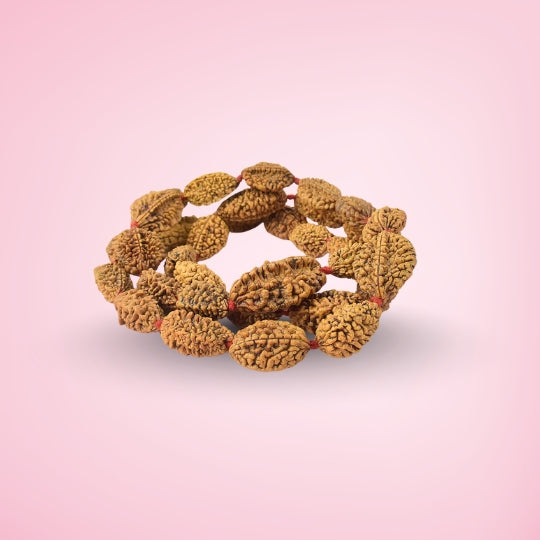 2 Mukhi Kantha Rudraksha Mala