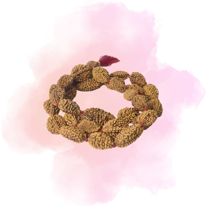 2 Mukhi Kantha Rudraksha Mala