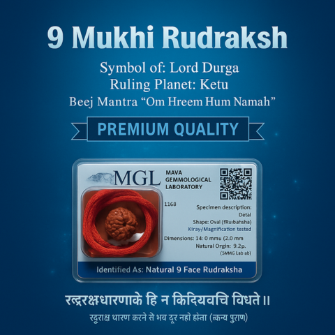 Durga Power 9 Mukhi Rudraksha (Certified)
