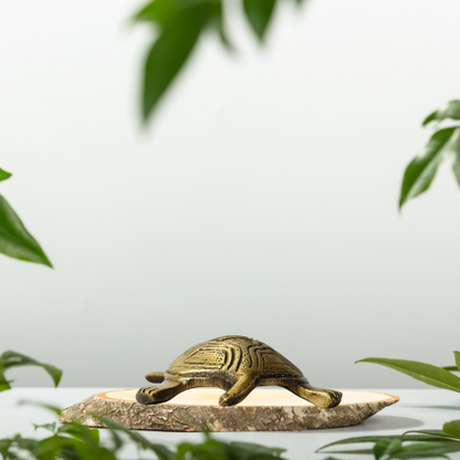 Golden Feng Shui Tortoise Showpiece