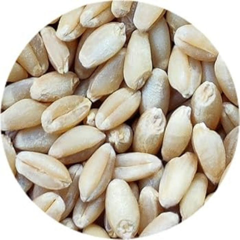 Pure Ritual Wheat