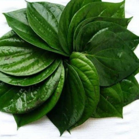 Divine Paan Patra