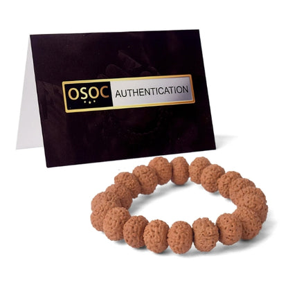 9 Mukhi Rudraksha Bracelet