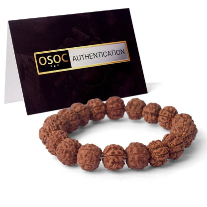 5 Mukhi Rudraksha Bracelet