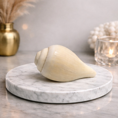 Premium Pooja Blowing Shankh