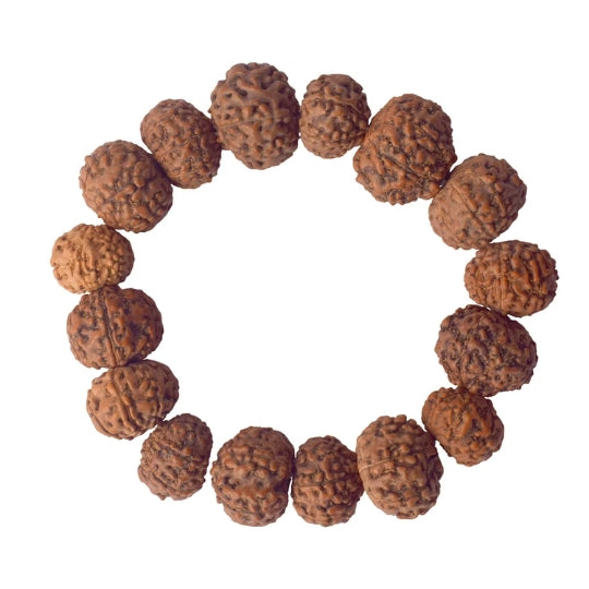 7 Mukhi Rudraksha bracelet