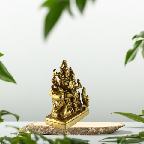 Shiv Parvati Divine Brass Idol