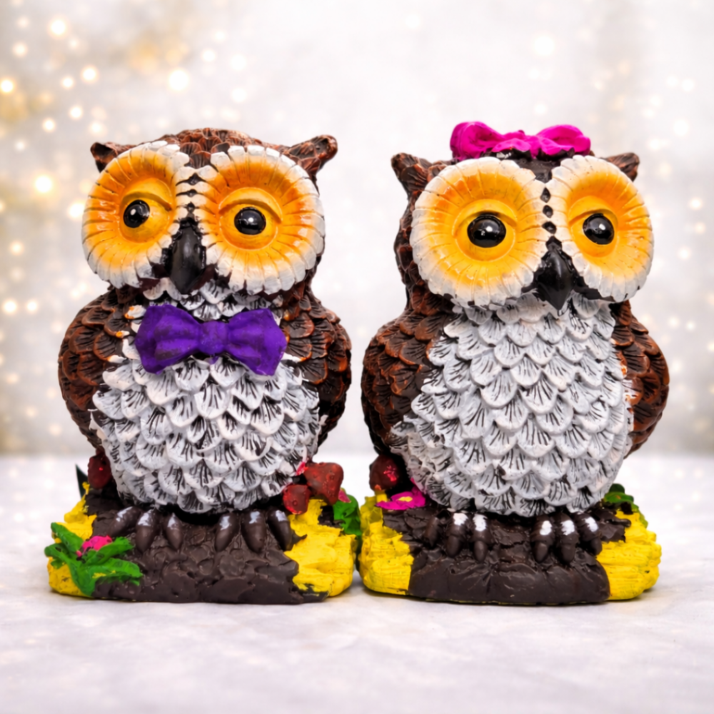 Cute Owl Couple Decorative Showpiece Set (Set of 2) – Multicolor Handcrafted Figurines