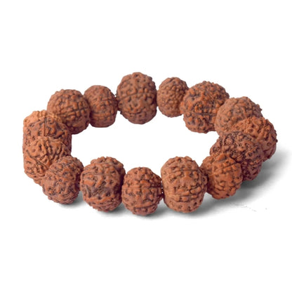 7 Mukhi Rudraksha bracelet