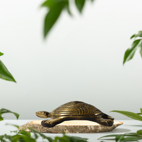 Golden Feng Shui Tortoise Showpiece