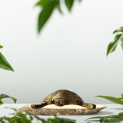 Golden Feng Shui Tortoise Showpiece