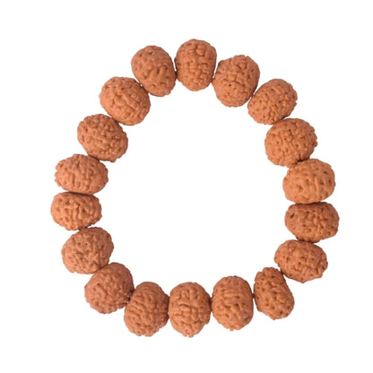 8 Mukhi Rudraksha Bracelet