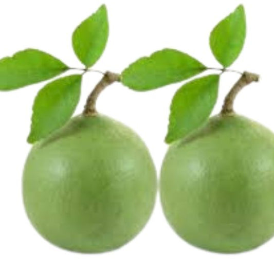 Bel Patra