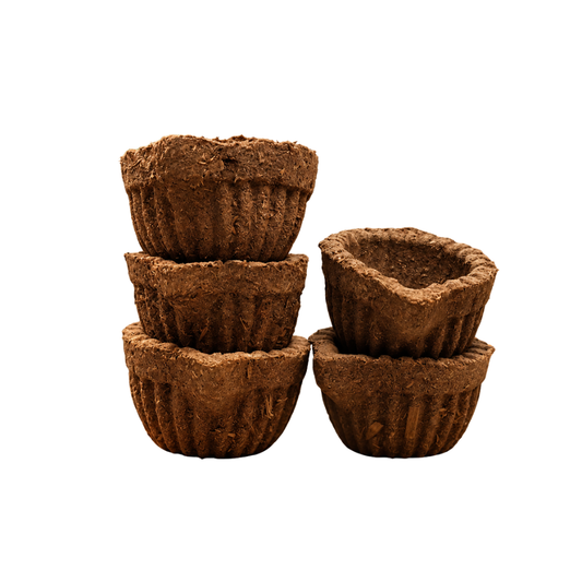 Natural Cow Dung Diyas (Gobar Ke Diye) for Diwali Pooja